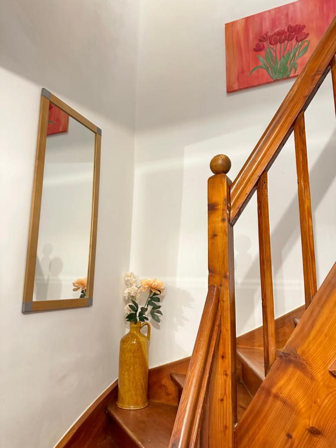 Green Paradise & Cozy Retreat Salzburg With Free Parking 외부 사진